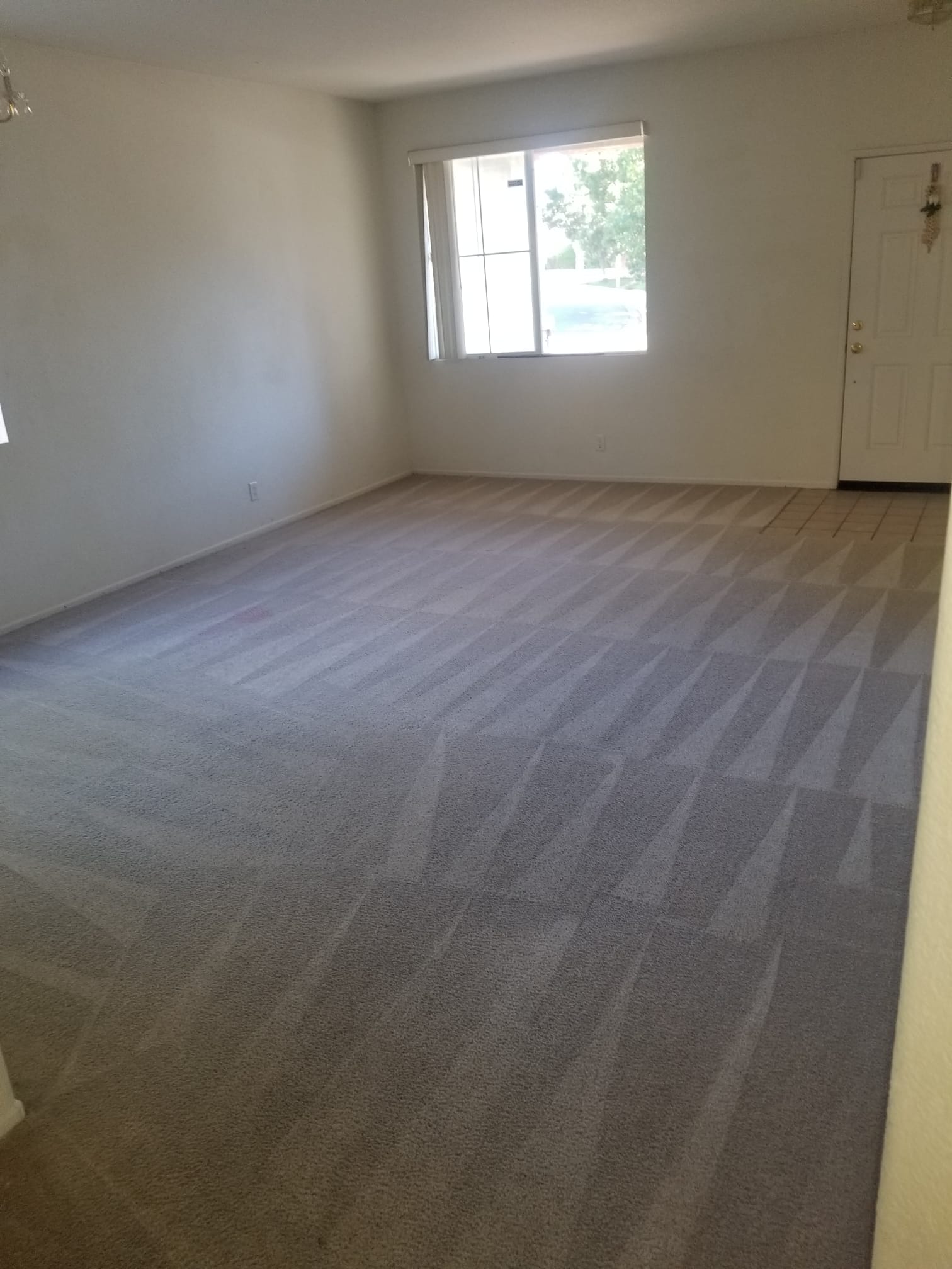 Golden Prestige Carpet Inc Image